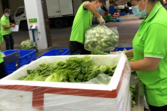 佛冈县饭堂食材配送服务公司 农副产品整合与高效供应的典范