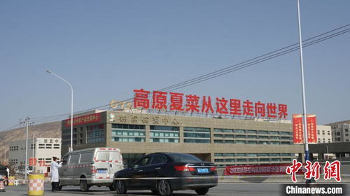 兰州农副产品集散中心 南菜充盈西北菜篮子，农民就近务工焕发新活力
